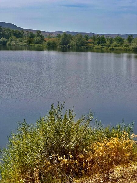 Cluj Turda Gligoresti lac de vanzare superb 204.100 mp potential fantastic