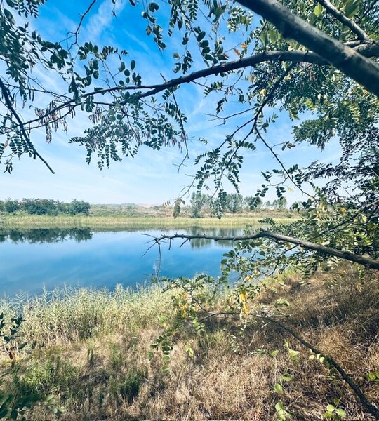 Cluj Turda Gligoresti lac de vanzare superb 204.100 mp potential fantastic